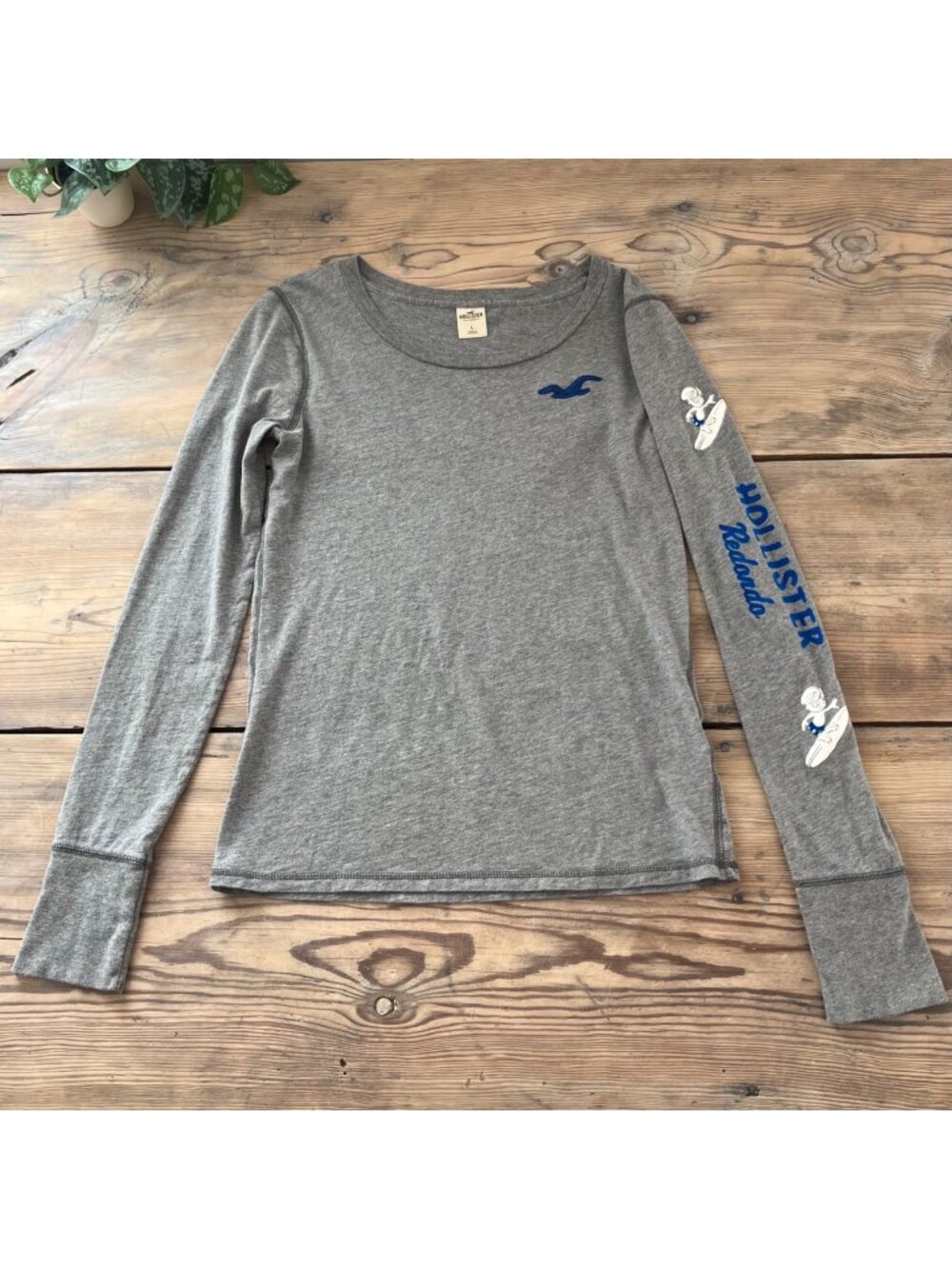 Hollister Y2K Long Sleeve Graphic Tee Womens L Gray Embroidered Seagull Redondo